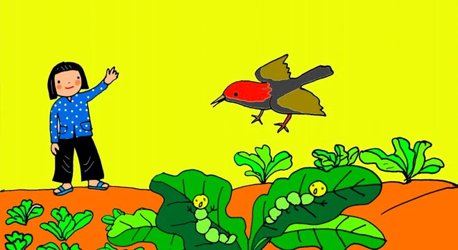 Bé và chim chích bông – Kho truyện cổ tích