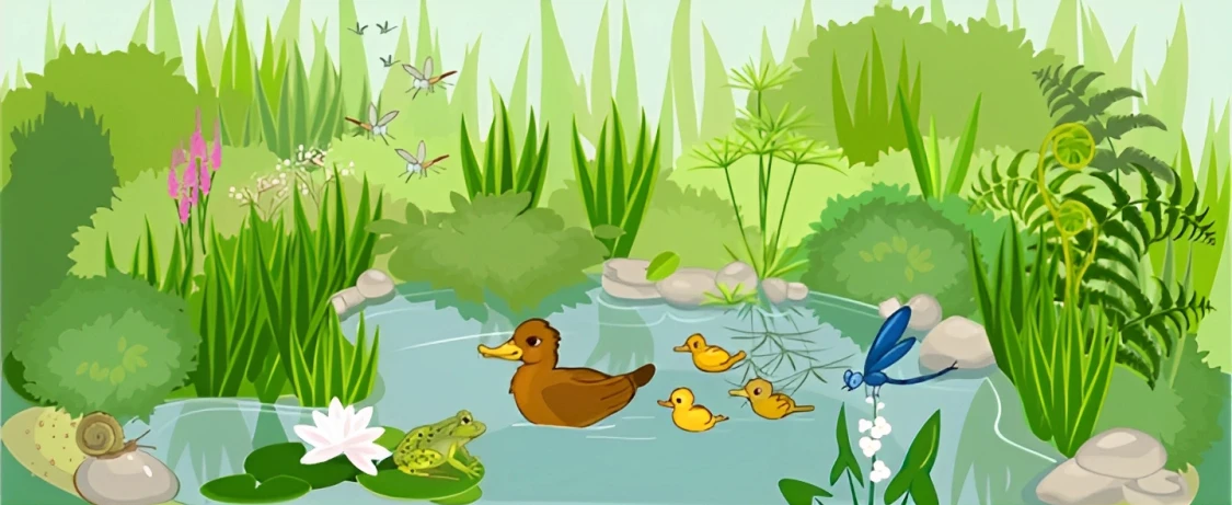 Nòng nọc tìm mẹ – Kho truyện cổ tích | Đọc và nghe truyện cổ tích miễn phí